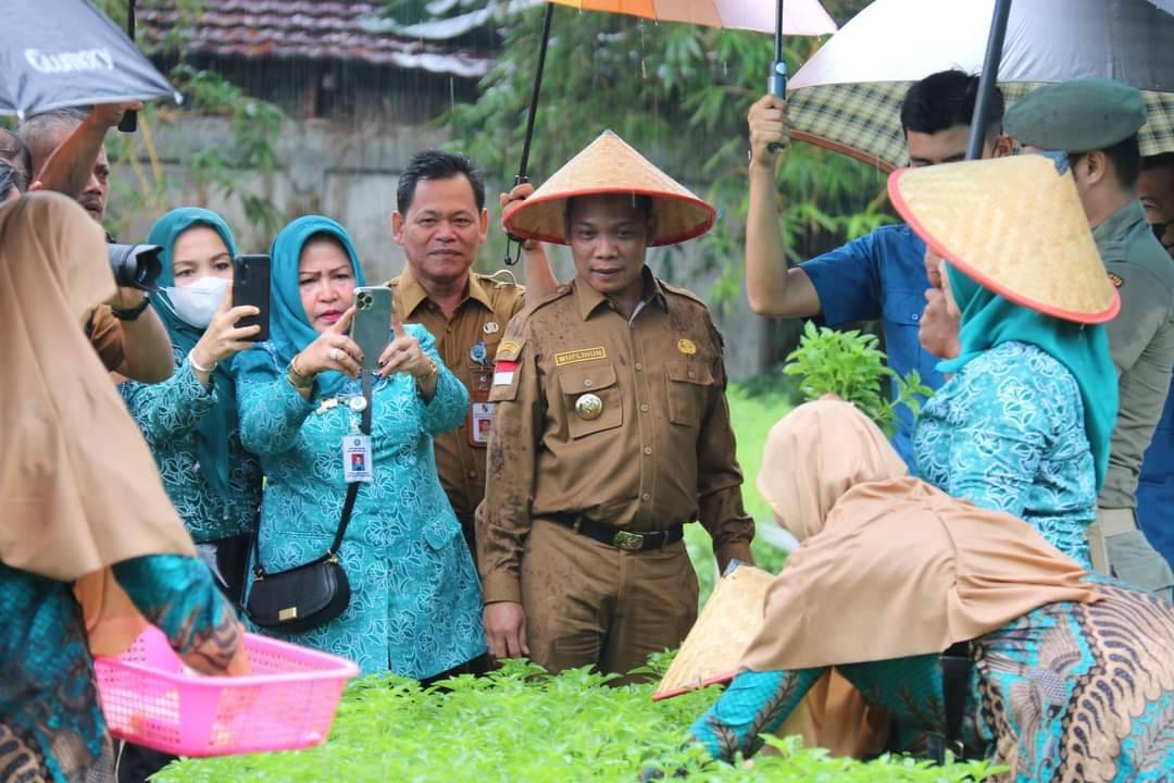 Upaya Tekan Inflasi, Pj Wali Kota Ajak Masyarakat dan ASN Tanam Cabai di Pekarangan Rumah