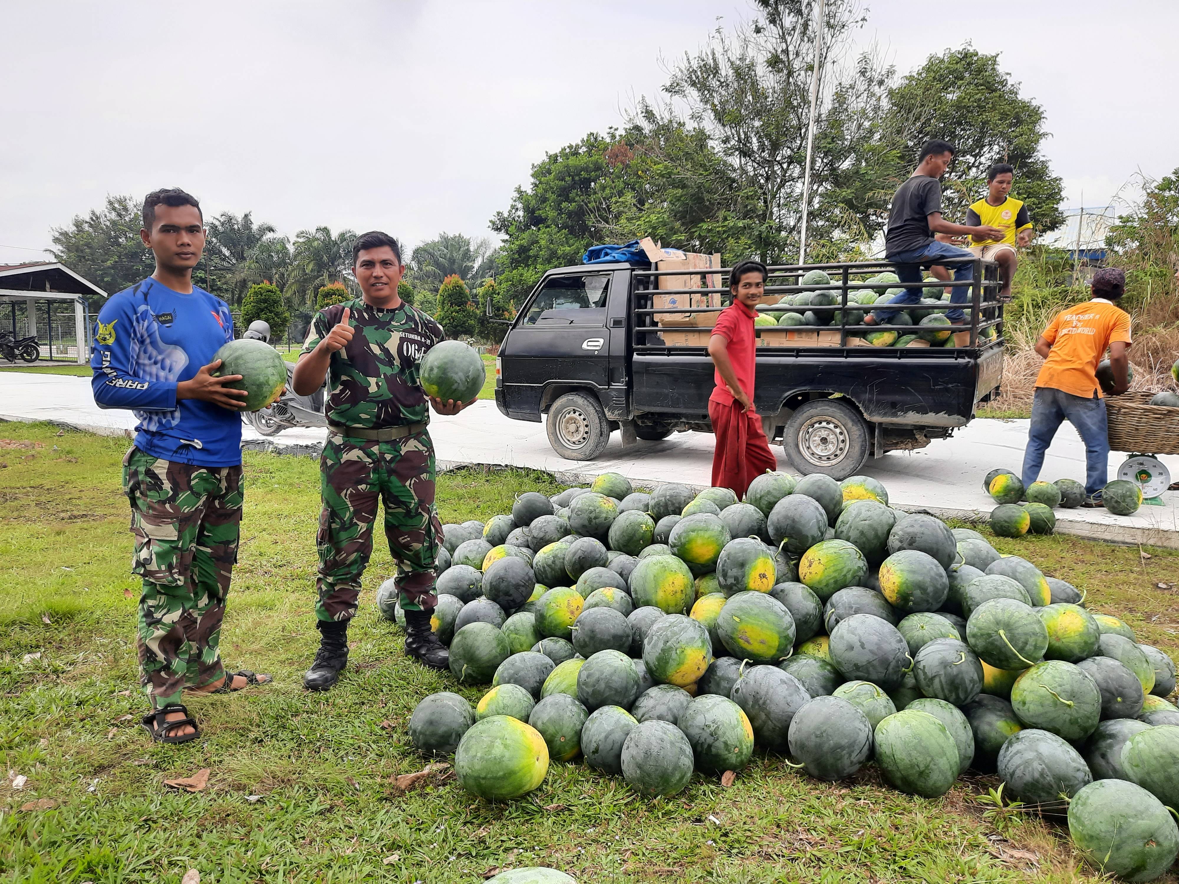 Sukseskan Program Ketahanan Pangan, Batalyon Komando 462 Kopasgat Panen Semangka 