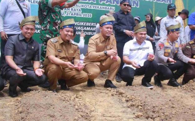 Belasan Hektar Lahan Tidur Ditanami Pohon dan Jagung Oleh Pemko Pekanbaru 
